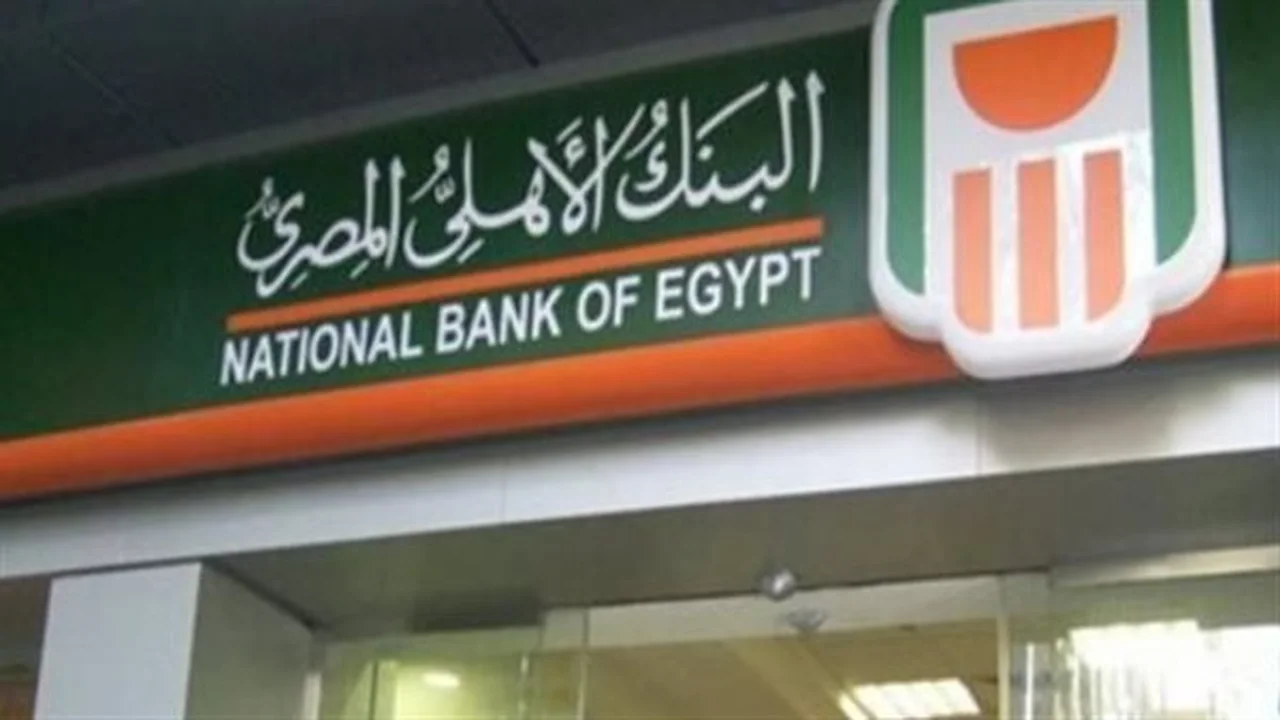 مقارنة بنكية.. أيهما تختار لادخار أموالك بين الشهادتين الذهبية والبلاتينية؟